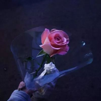 陪审团裁定Meta 与谷歌在社交媒体成瘾案中均需承担法律责任。